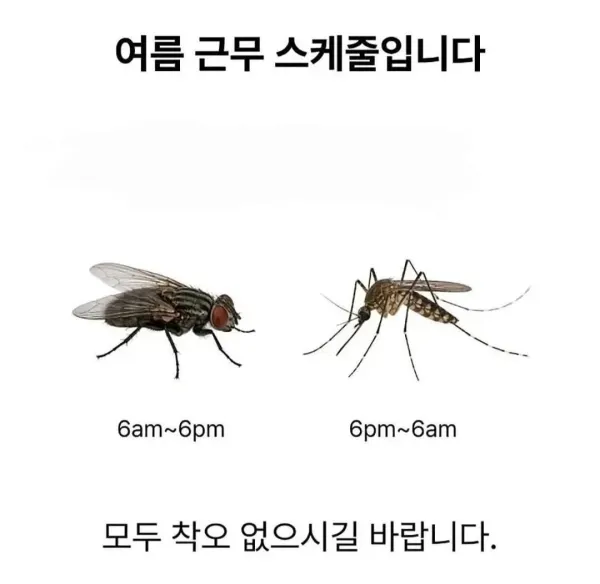 0751580406 cc55247e 600x584