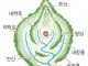 배산임수 명당 공략법