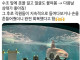 손님 없어서 우울증 걸린 개복치.jpg