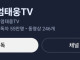 참교육 컨텐츠 유튜버 근황