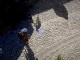 붉은사막 상호작용.gif