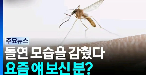 0920503395 b5d931df 600x308