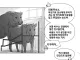 그래도 한번은 하고 죽는 삶