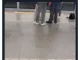 진짜 광기에 놀란 가짜 광기