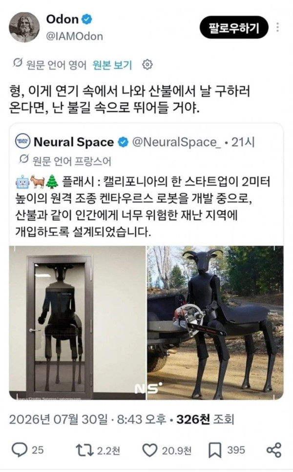 0952436901 066dbfae 600x968