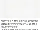 엄마 지인들 용서할수 없다는 디시인