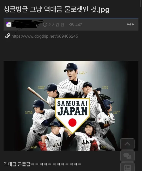 1010353439 df334220 600x723
