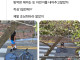 중2 아들에게 픽시자전거 사준 부모