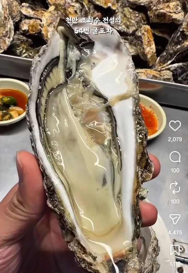 1023107611 4563ab37 600x867