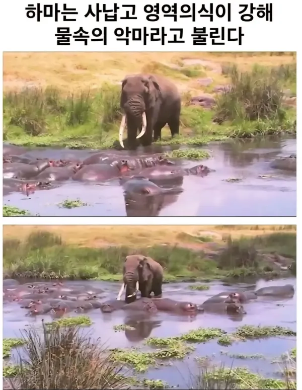 1024575398 27594d87 600x775