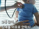 네덜란드에서 1살 영아 최초로 안락사.jpg