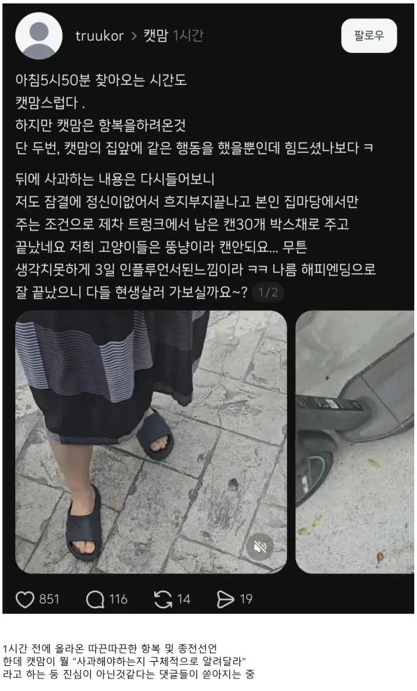 1030130864 50168acd 600x993