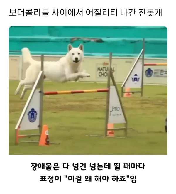 1031052228 573cad73 600x661