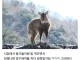 병사가 지역 주민들을 욕했다고 군장돌린 중대장.jpg