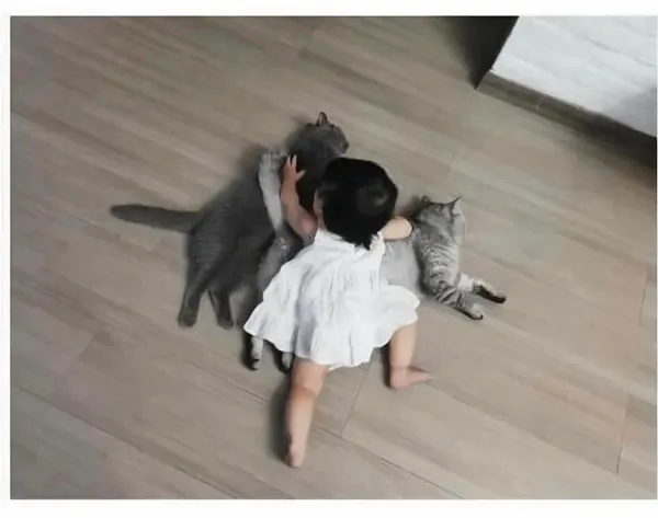 1049372702 1c7b9fd3 600x473