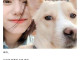 성희롱하다 끌려간 노가다 아재.jpg