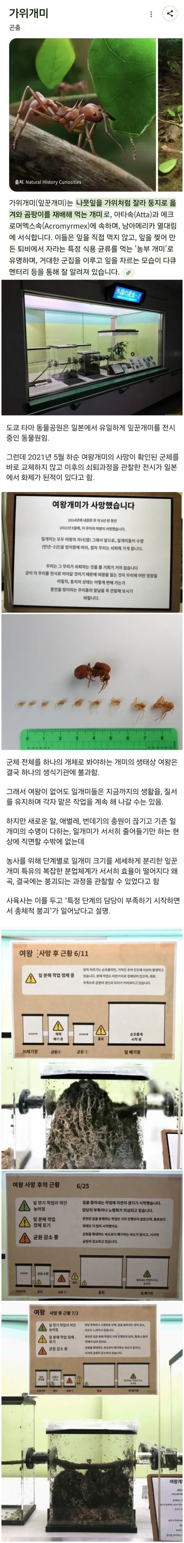 1059078300 bc204aa6 600x5027