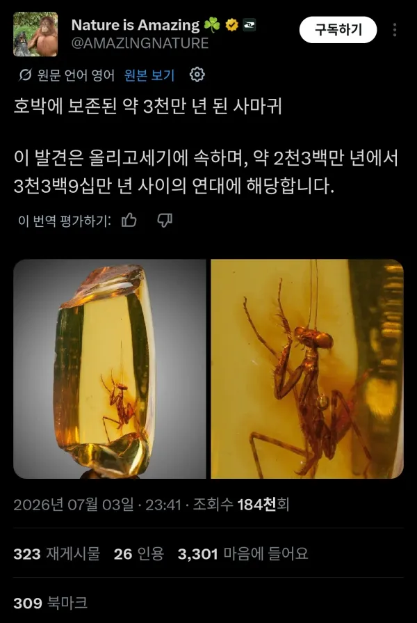 1059220247 18a01d4d 600x895
