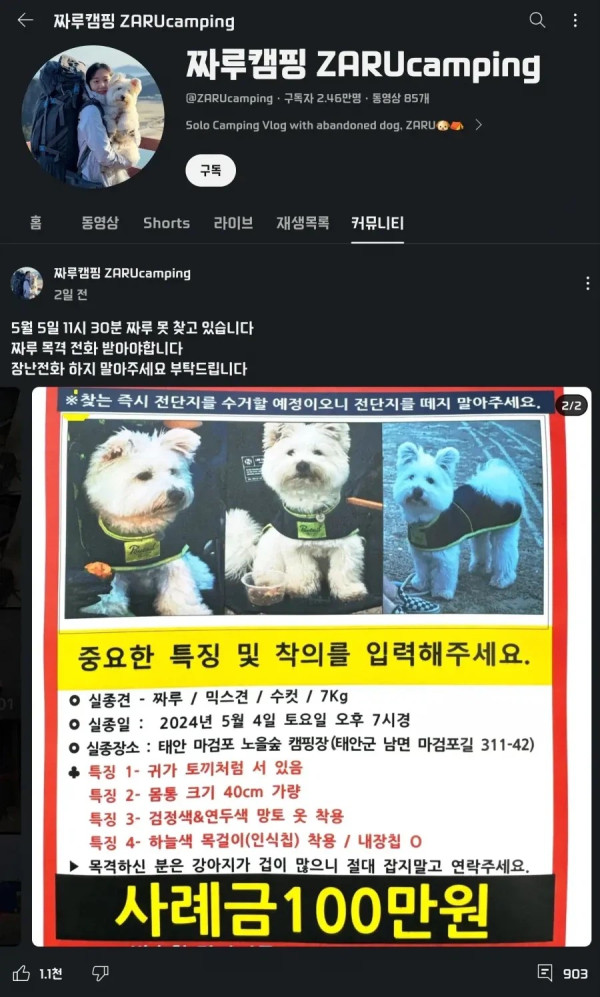 1115494805 2811ac7c 600x997
