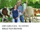 사진 찍는 부부에게 느닷없이 다가온 말 한 마리