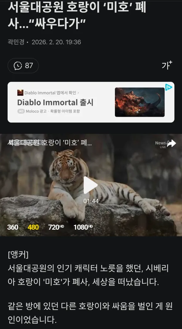 1129417707 5b3d5d05 600x1086