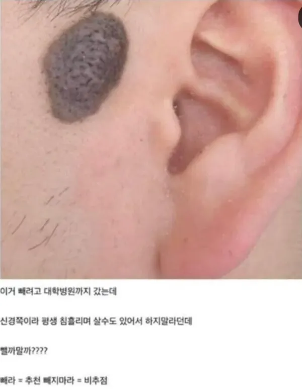 1133203460 155eedfb 600x779