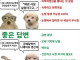 쟤넨 사실 실업야구고... <-- 지루하고 현학적임.JPG