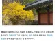 의외로 해외 나가면 보기 힘든 꽃