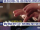 뿌요뿌요 한일대전