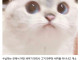 한의사를 무시하면 큰일나는 이유