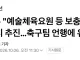 국방부 예술체육요원 등 보충역 감축·폐지 추진…축구팀 언행에 유감