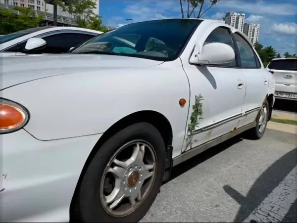 1226403151 2e9d682c 600x451