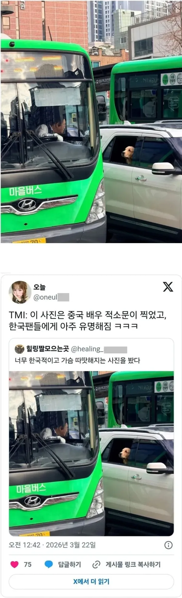 1232468411 d9638b5d 600x1968