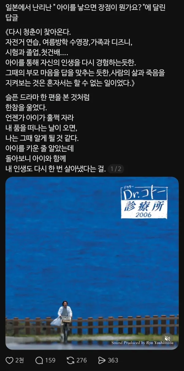 1234206912 3da91cff 600x1212