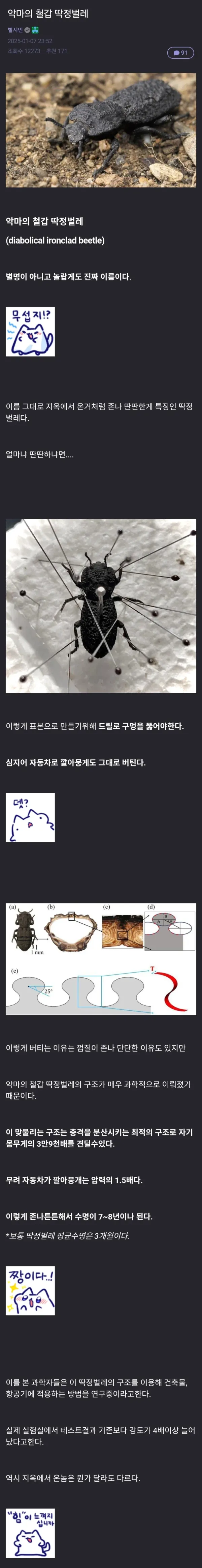1247086498 ee5d4367 600x4648