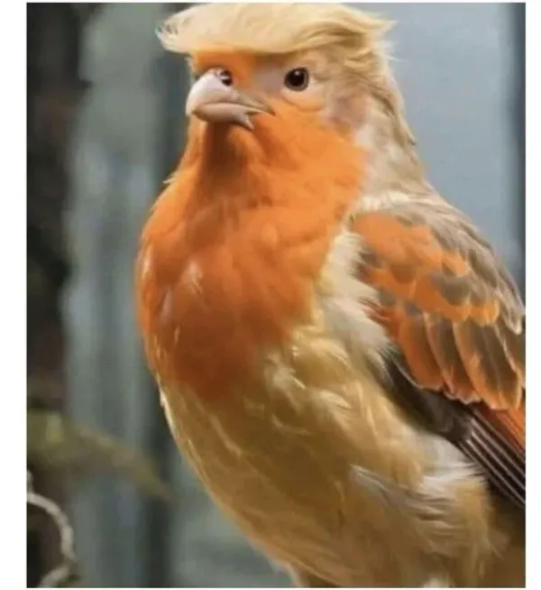 1256085127 549137c1 600x654
