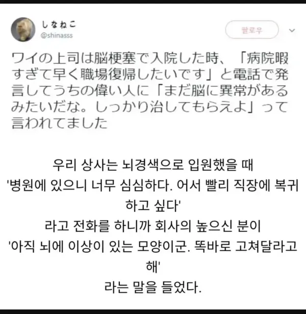 1259173781 c7ee68fa 600x616