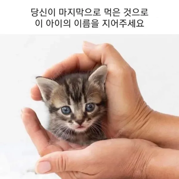 1304338681 fa31e112 600x600