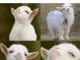 아무도 안믿었는데 결국 내 말이 맞았을 때 ㅋㅋㅋ