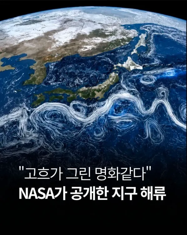 1330105755 c9e58e08 600x751