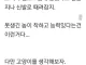 돈벌레와 고양이
