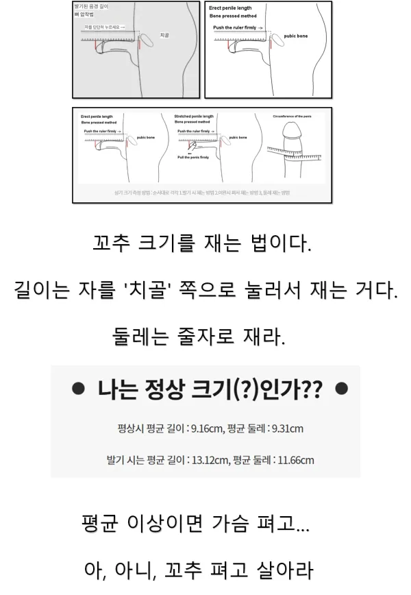 1347028766 0241f998 600x868