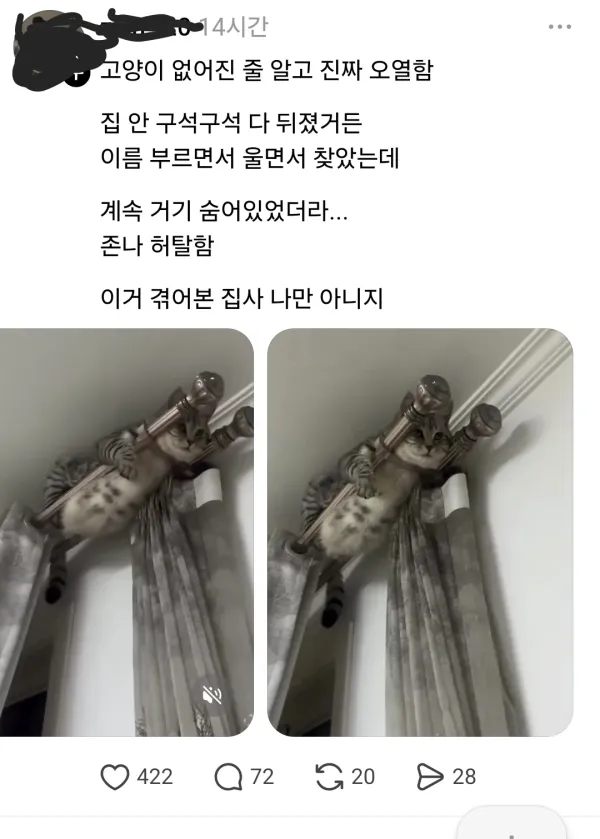 1352446361 d10cf0ff 600x839