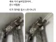 고양이 없어진 줄 알고 운 사람