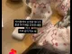 지하철에서 포켓몬 하면 생기는 일