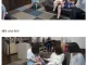 가슴을 너무나 좋아하는 일본 어린이
