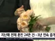 지난해 전체 혼인 24만건, 3년 연속 증가세 사무직,전문직 위주의 결혼 증가