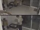 이...이건 내가 싼게 아니야!