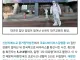신천지 이만희가 사회에 끼친 가장 큰 민폐