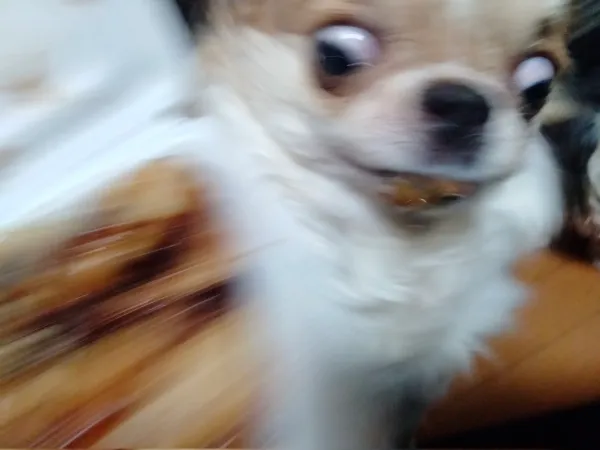 1416243176 0202d228 600x450